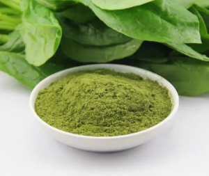 How Copper Chlorophyll Can Help with Anemia and Iron Deficiency
